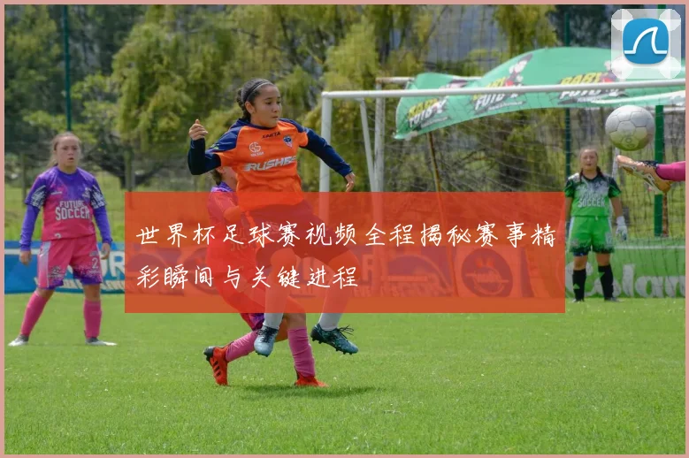 世界杯足球赛视频全程揭秘赛事精彩瞬间与关键进程