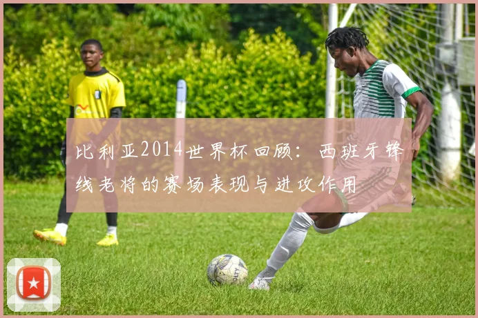 比利亚2014世界杯回顾:西班牙锋线老将的赛场表现与进攻作用