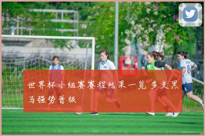 世界杯小组赛赛程结果一览 多支黑马强势晋级