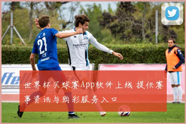 世界杯买球赛App软件上线 提供赛事资讯与购彩服务入口