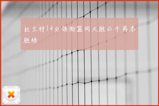 杜兰特14分领衔篮网大胜公牛再添胜绩