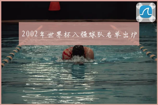 2002年世界杯八强球队名单出炉
