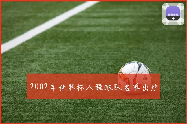 2002年世界杯八强球队名单出炉