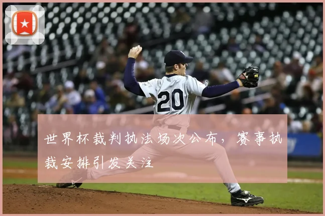 世界杯裁判执法场次公布,赛事执裁安排引发关注