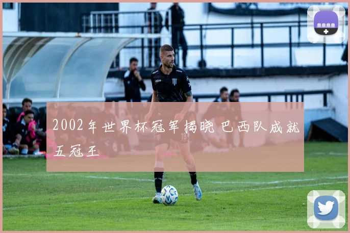 2002年世界杯冠军揭晓 巴西队成就五冠王