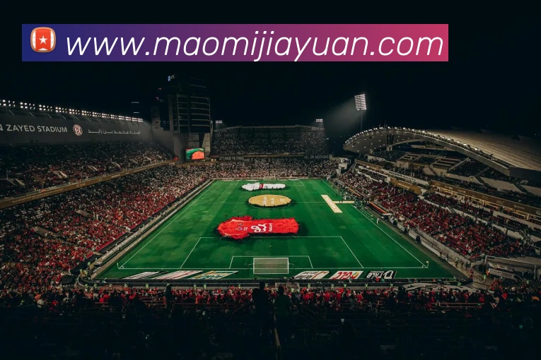 华体会体育官网appAPP 封面图