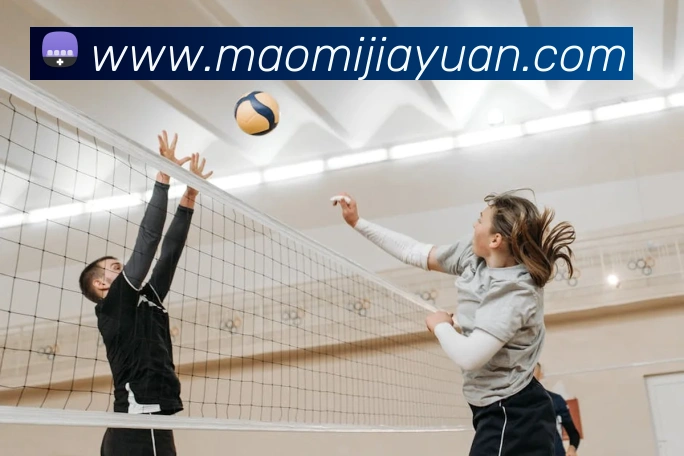 世界杯官方入口APP 封面图